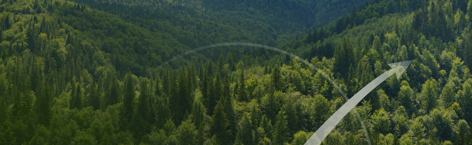 Conservative investment Management (1)