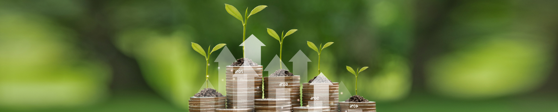 Conservative investment Management