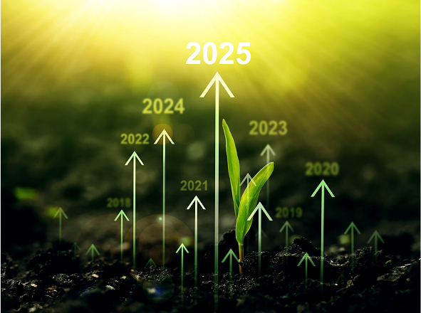 shutterstock_1919449283