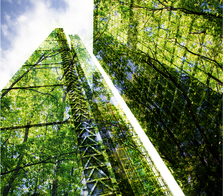 shutterstock_1975731365