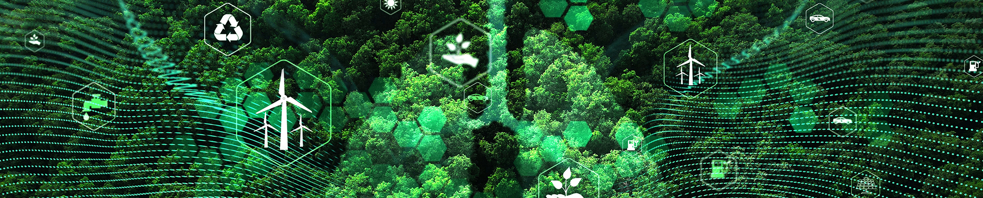 shutterstock_2308481183