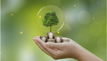 shutterstock_2317085513