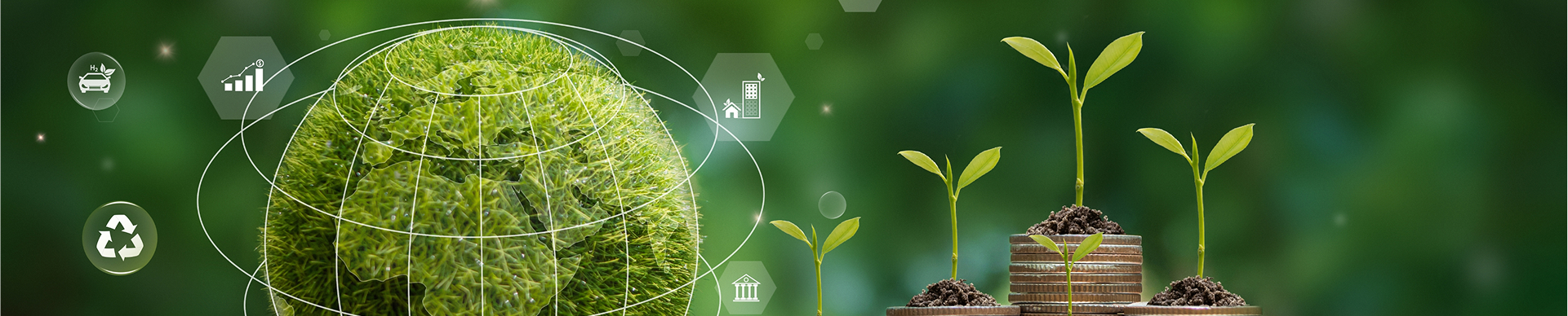 shutterstock_2363319135