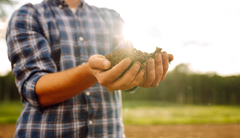 shutterstock_2409443533