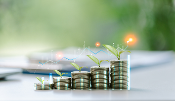 shutterstock_2485735841