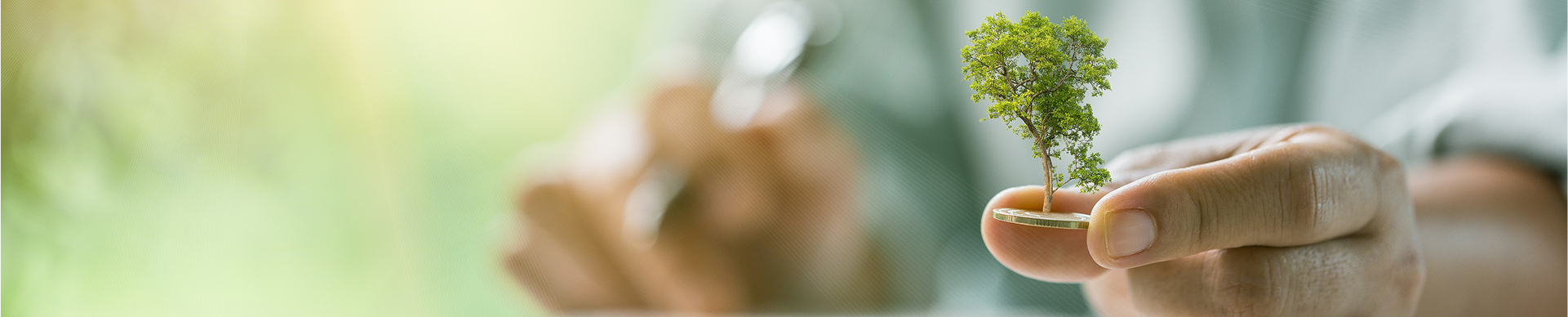 shutterstock_2498205247