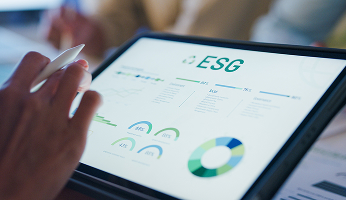 shutterstock_2501297207